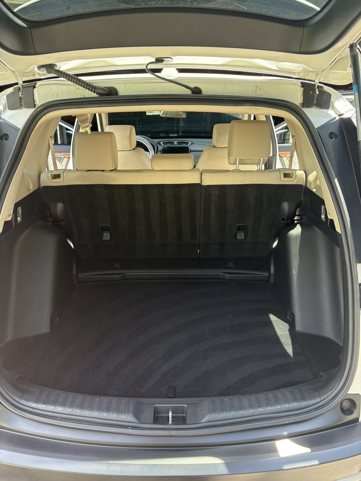 SUV cargo area cleaned and vacuumed